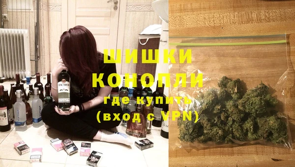 трава Бородино