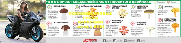 apvp Бронницы