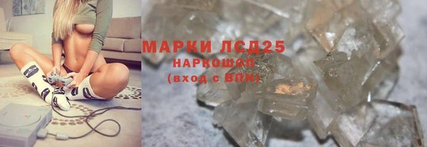 трава Бородино