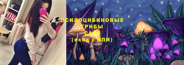 трава Бородино