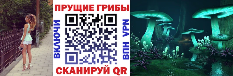 Галлюциногенные грибы ЛСД  Тихорецк 